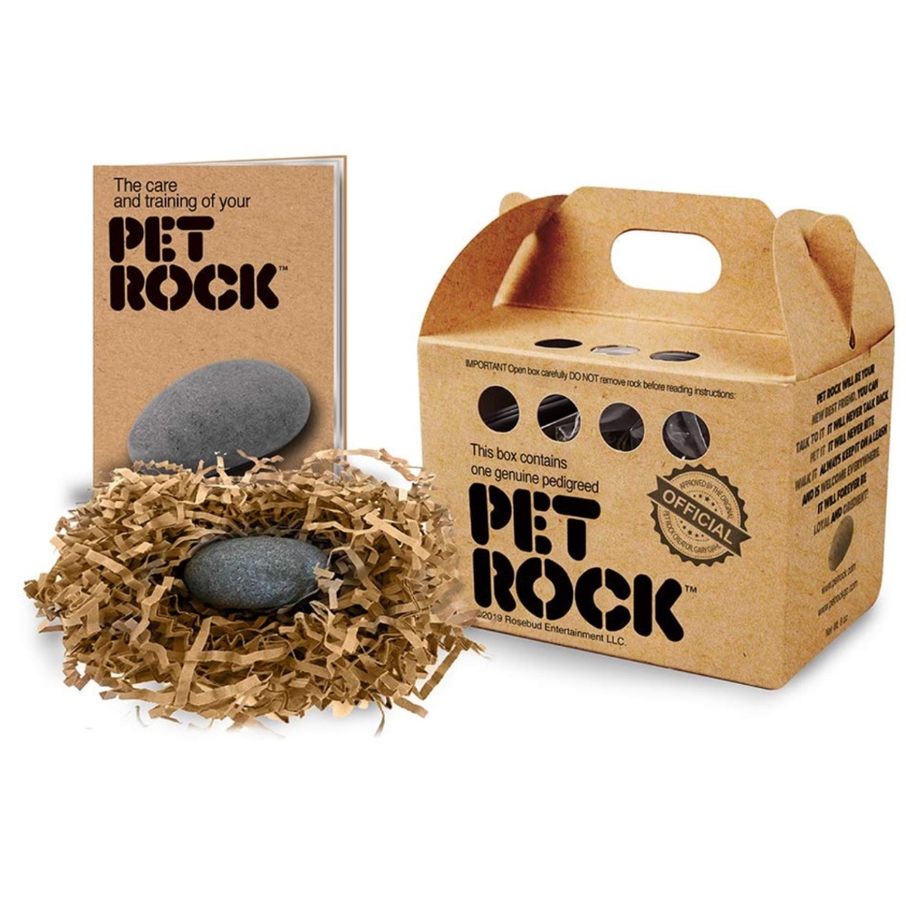 Classic Original Pet Rock (NWT/NIB)